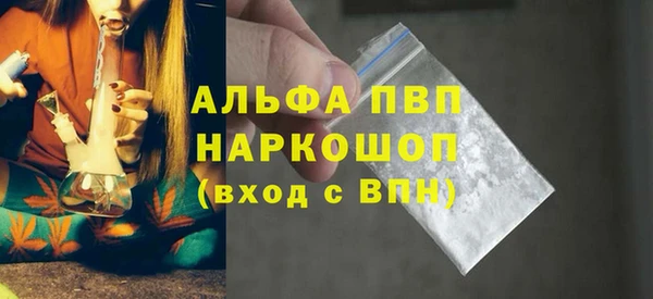ПСИЛОЦИБИНОВЫЕ ГРИБЫ Верея