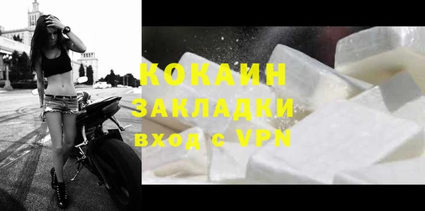ПСИЛОЦИБИНОВЫЕ ГРИБЫ Верея