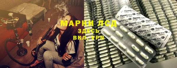 ПСИЛОЦИБИНОВЫЕ ГРИБЫ Верея