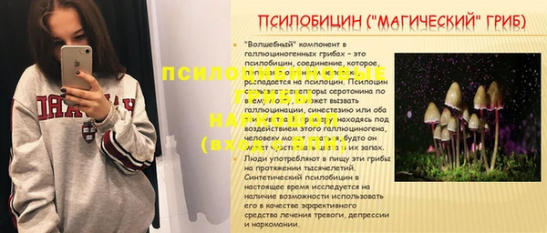 ПСИЛОЦИБИНОВЫЕ ГРИБЫ Верея
