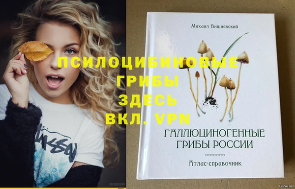 ПСИЛОЦИБИНОВЫЕ ГРИБЫ Верея