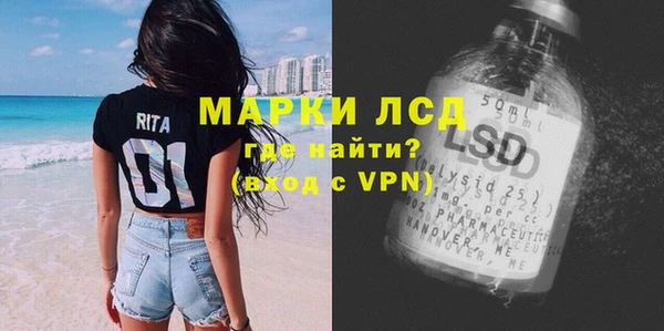ПСИЛОЦИБИНОВЫЕ ГРИБЫ Верея